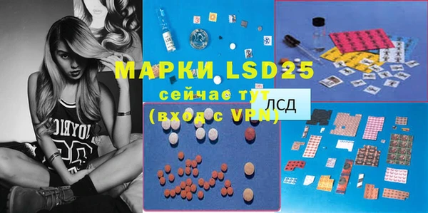 мяу мяу мука Михайловск