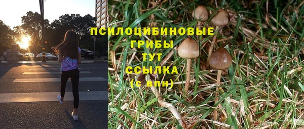 мяу мяу мука Михайловск