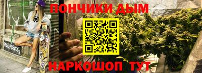 ECSTASY Гатчина