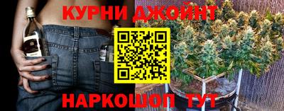ECSTASY Гатчина