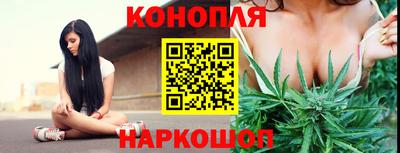 ECSTASY Гатчина