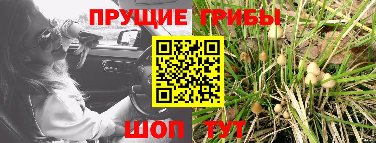 Псилоцибиновые грибы ЛСД  Елец  Галлюциногенные грибы прущие грибы 