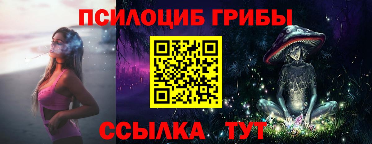 наркотики  Вход с VPN  Елец  Псилоцибиновые грибы Psilocybine cubensis 